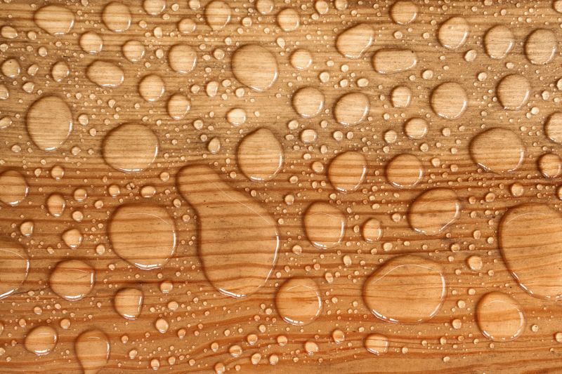 Balcony Waterproofing in Renton, WA