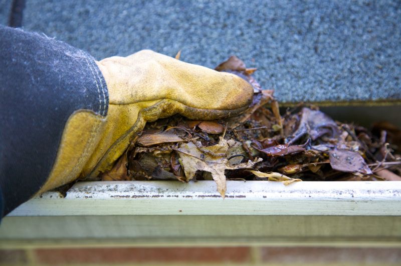 Clogged Gutter Clearing in Monmouth County, NJ