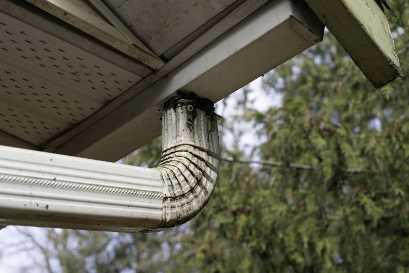 Downspout Cleaning in Monmouth County, NJ