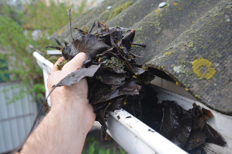 Gutter Blockage Removal in Frederick, MD
