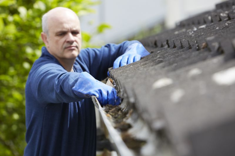 Gutter Cleaning in Annapolis, MD