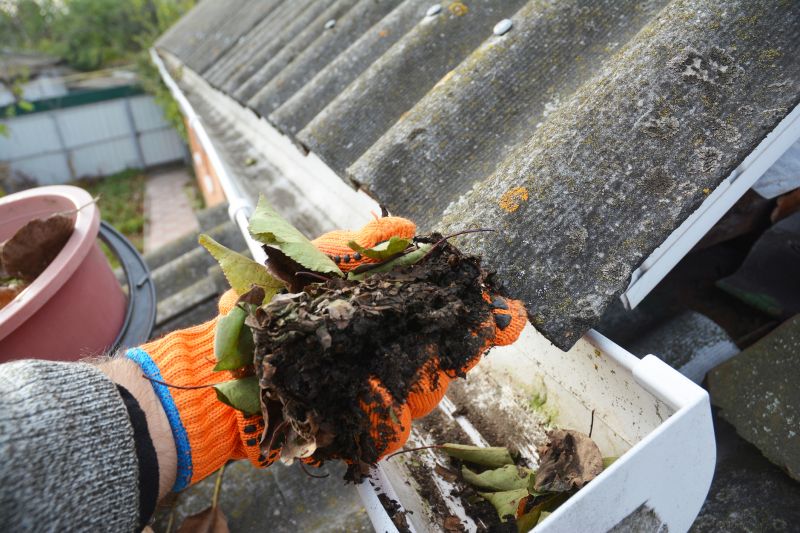 Rain Gutter Clearing in Frederick, MD