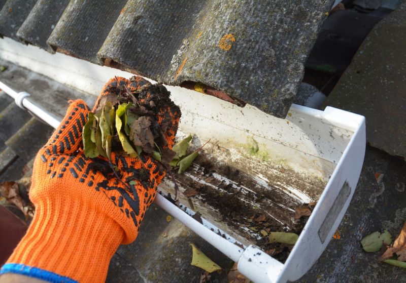 Roof Gutter Cleaning in Long Island, NY