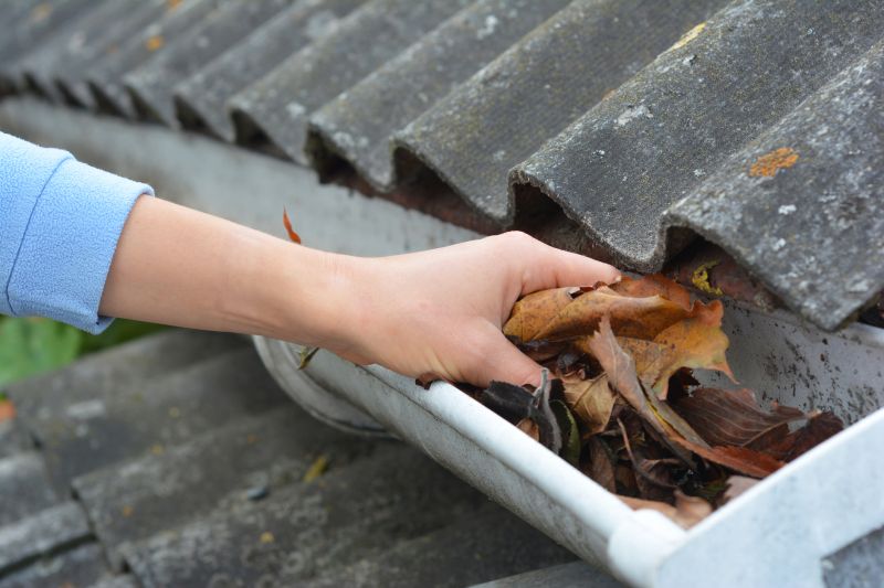 Roof Gutter Cleaning in Long Island, NY
